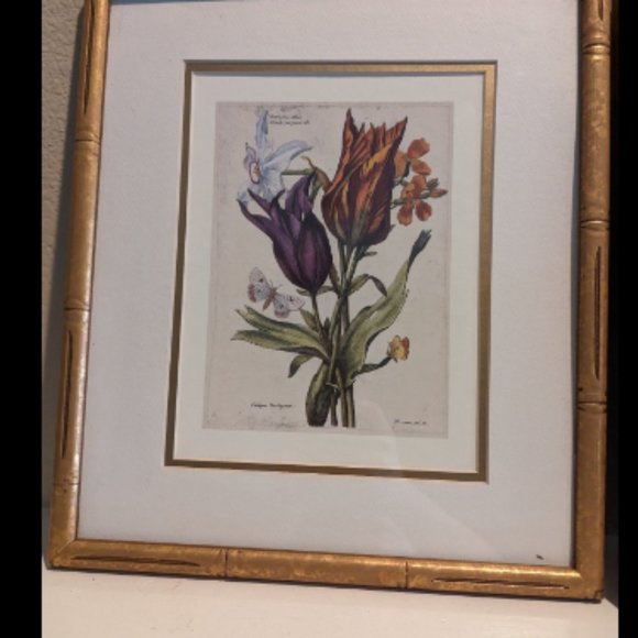 6"x9" 17th Century Nicolas Robert Original Print French Artist 1600s Antique - Picture 6 of 6